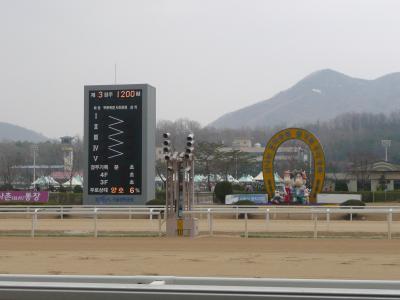 2007/04 韓国/ソウル旅行【ソウル競馬場観戦記】