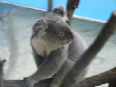 多摩動物園～♪