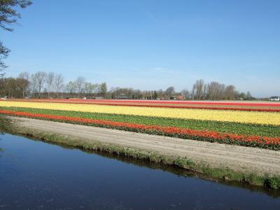 2007年 キューケンホフとユトレヒト(ミッフィーの家)