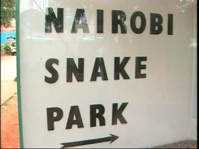 １２． ナイロビのヘビ公園　前編　06夏