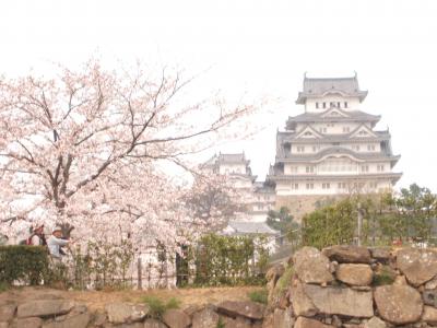 桜*姫路城（青春１８きっぷの旅）