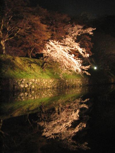 花より団子：琵琶湖桜巡り