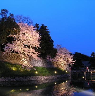 幽玄・国宝彦根城・春宵一刻