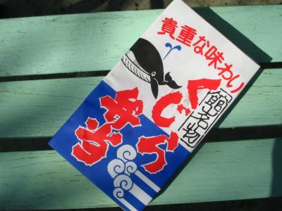 青春18キッパーの旅2007・春　房総日帰り?　館山