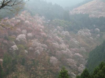 青春１８きっぷの旅～奈良（吉野編）～