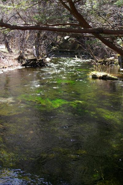続　５月連休の旅（上高地）