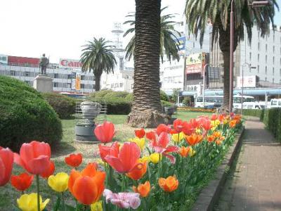 大分駅前はお花がいっぱい