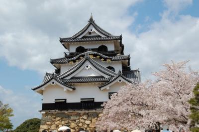 lrg_10140580.jpg?updated_at=