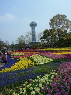 チューリップ満開の木曽三川公園