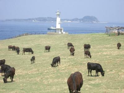 加部島は最高のピクニック場