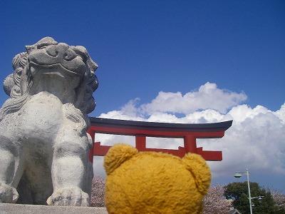 妙本寺、鎌倉七福神、とか、あてなくぷらぷら