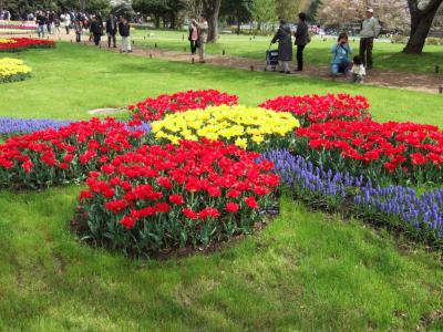 昭和記念公園の春