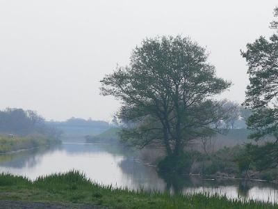 水郷公園