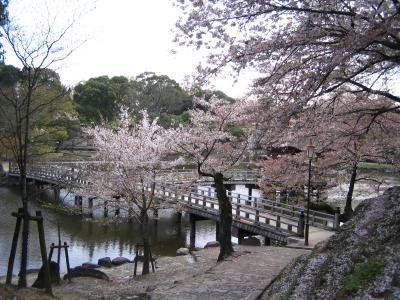 女一人旅～奈良その?　奈良公園～