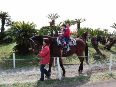 ３．エクシブ伊豆　伊豆高原桜祭り　子供達お気に入りの伊豆グランパル公園