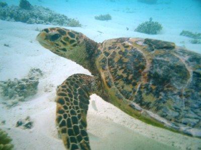 スリランカ&モルディブ2004(全8日間)3