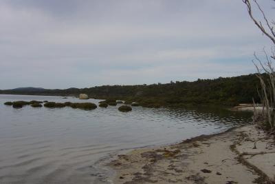 ビクトリア州・ウィルソンズプロモントリー国立公園（Wilsons Promontory National Park）