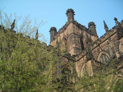 人情道中無計画 チェスター