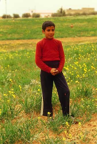 ヨルダン・シリア5