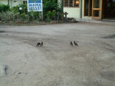 マナ島散策