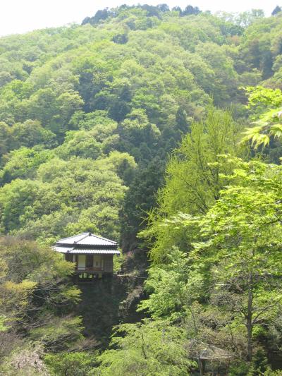 「関東の高野山」　新緑の行道山浄因寺