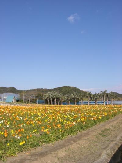 日帰り☆館山旅行