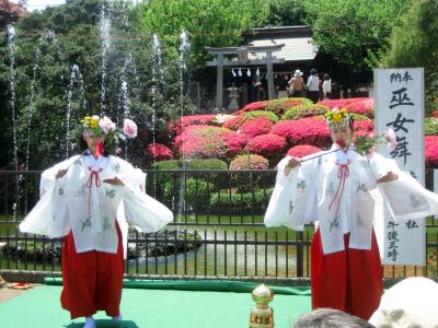 青空ゴールデンウィークの箭弓神社(1)神社・ツツジ・巫女舞