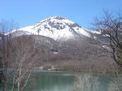 上高地へ森林浴
