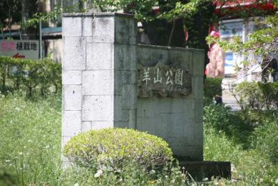 秩父へ～御花畑駅から羊山公園へ～