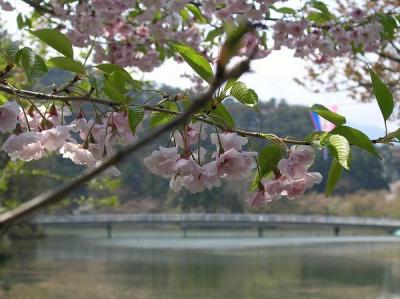 信州北回廊・臥竜公園