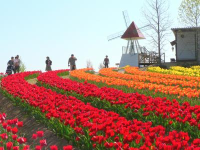 世羅高原　その１（世羅高原農場）