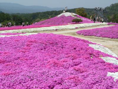 世羅高原　その４（花夢の里ロクタン）