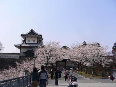 満開の桜を堪能★厨八十八★の旅?