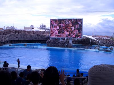 名古屋水族館でイルカショー！！
