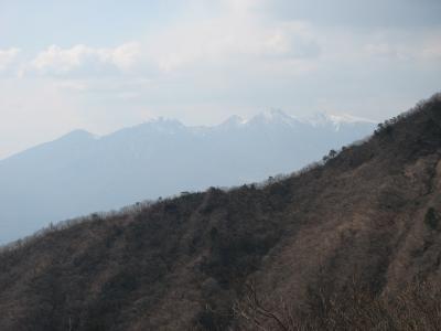 森の妖精を求めての登山・・その?茅が岳登山