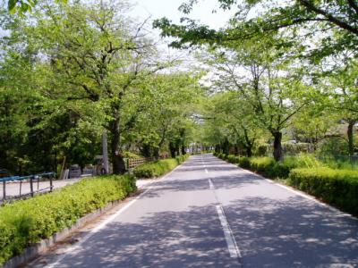 長瀞駅付近をお散歩