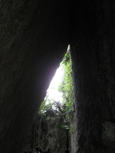 那覇・琉球料理 ・世界遺産　斎場御嶽