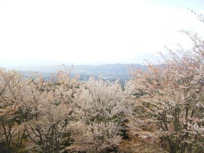 三十路女が行く～高野山・吉野の奥千本・奈良