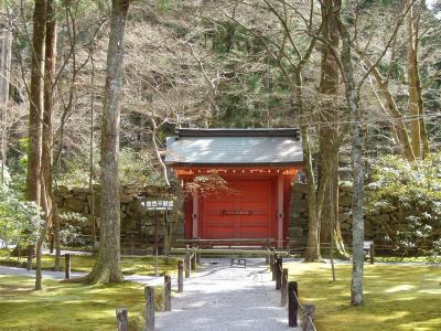 2007春の旅行 5日目−京都・大原