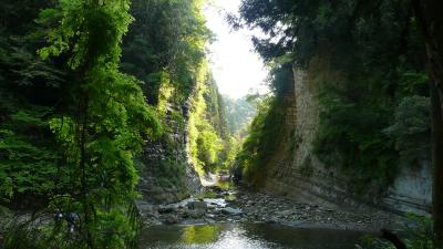養老渓谷で森林浴