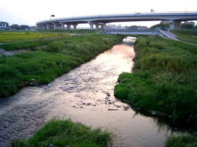 知立をひとり歩く…。