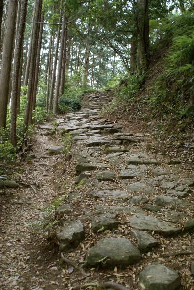 熊野古道・馬越（まごせ）峠コーストレッキング20070504