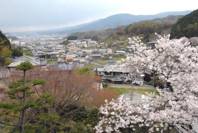 奈良　桜紀行　談山神社から桜井へ（３）