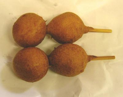 仙台食い倒れツアー