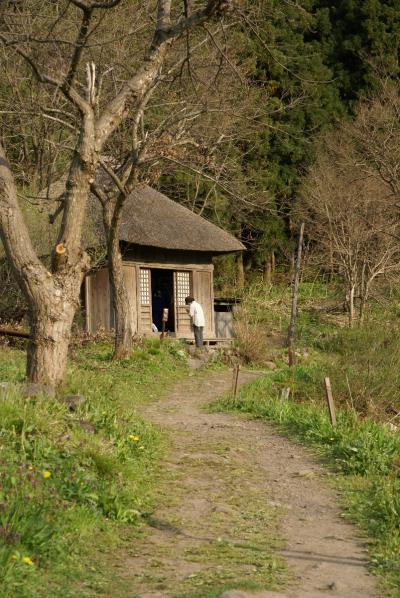 春の飯山１～阿弥陀堂だより