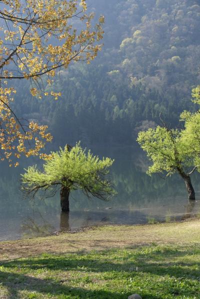 春の飯山２～北竜湖と修験の道