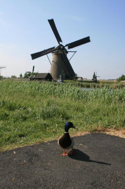 キンデルダイクの風車群を見るために