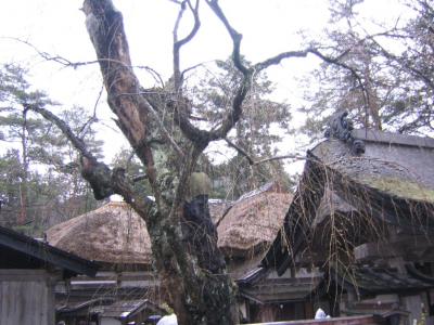 東北旅行　角館→田沢湖→平泉・中尊寺→鬼首温泉