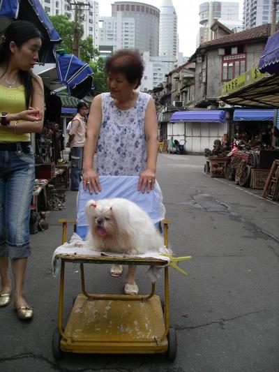 上海のローカル 3