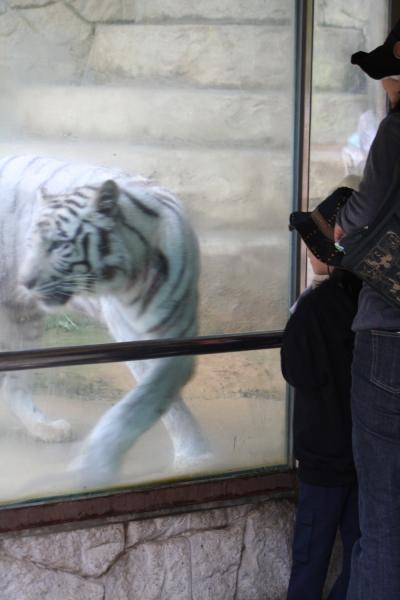 大牟田市動物園